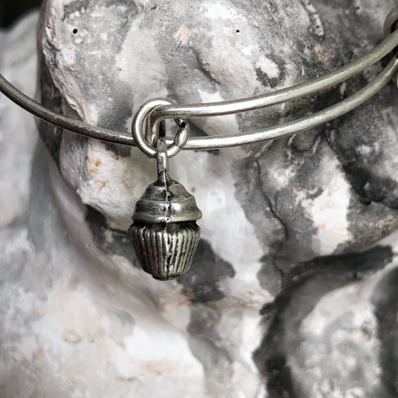 Alex and Ani Silver Cupcake Charm Bangle Bracelet - Picture 3 of 8